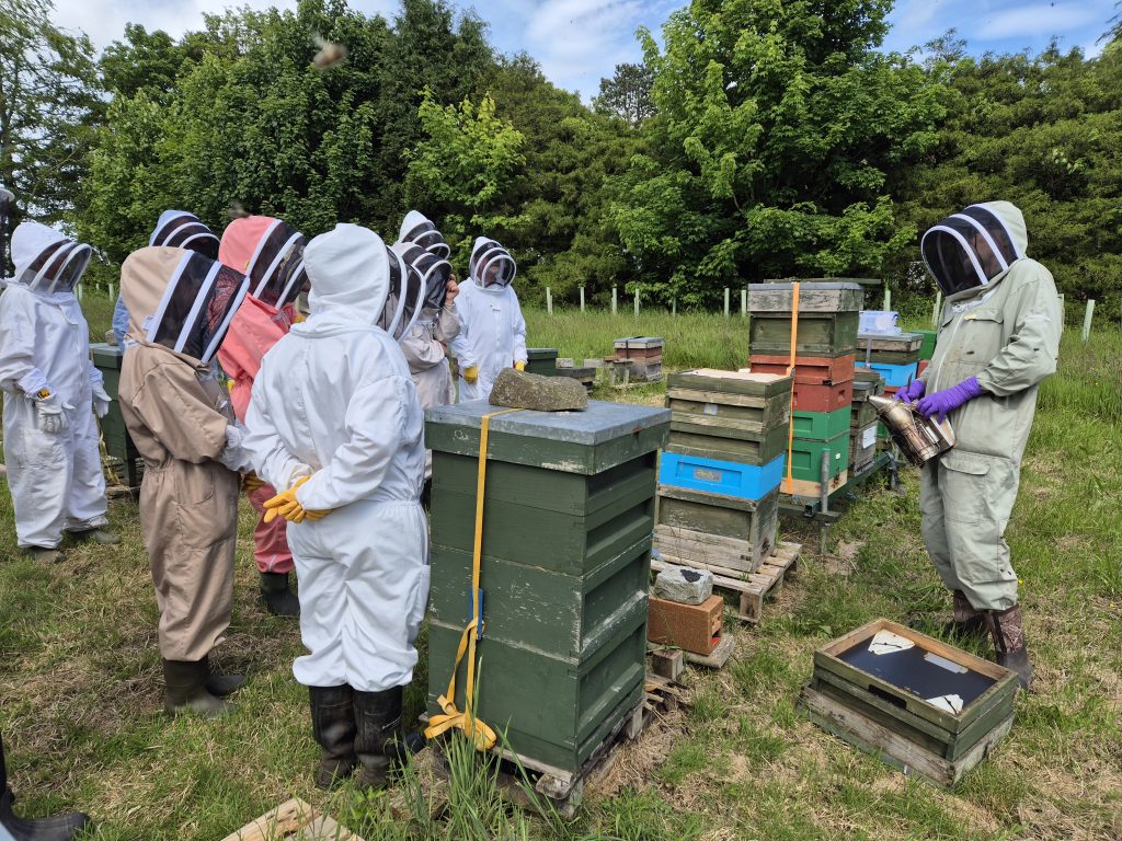 Practical Beekeeping Class at FBA Apiary