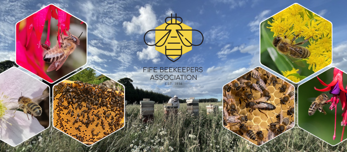 Beekeeping Fife