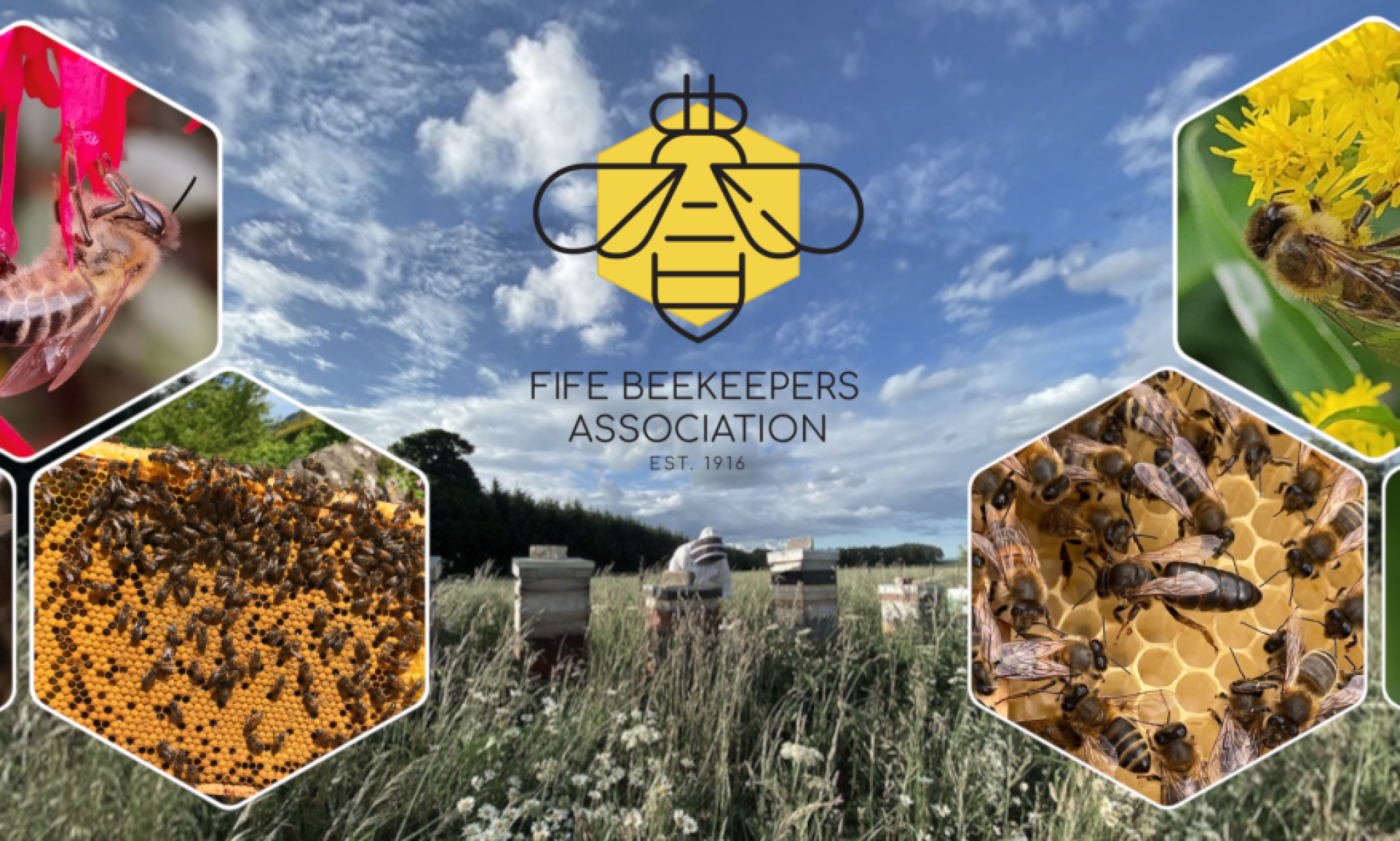 Fife Beekeepers Association