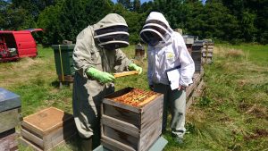 George Young, Fife member, (left) being examined for his SBA Basic Beekeeper Exam by Margaret Thomas, 2017